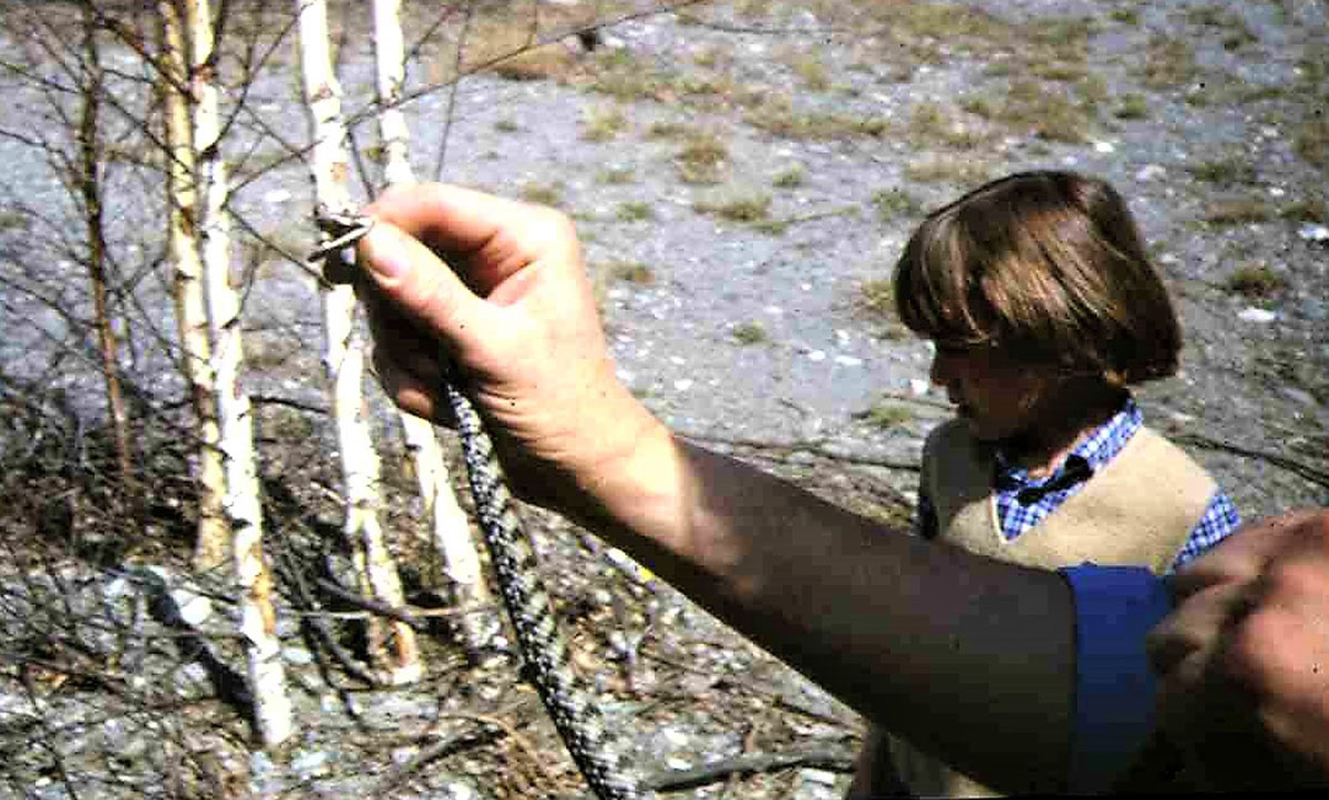 Vipera nella piana di Oulx